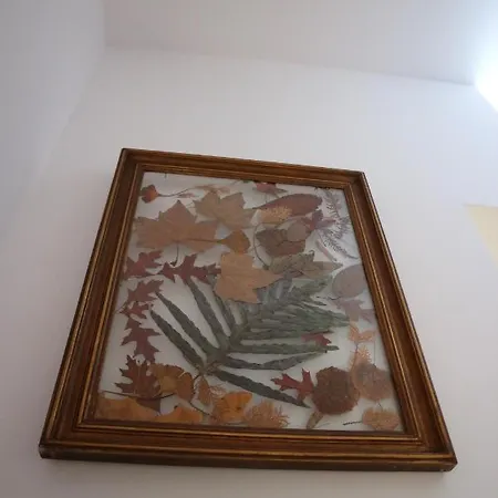 Apartment Casa Antas Porto